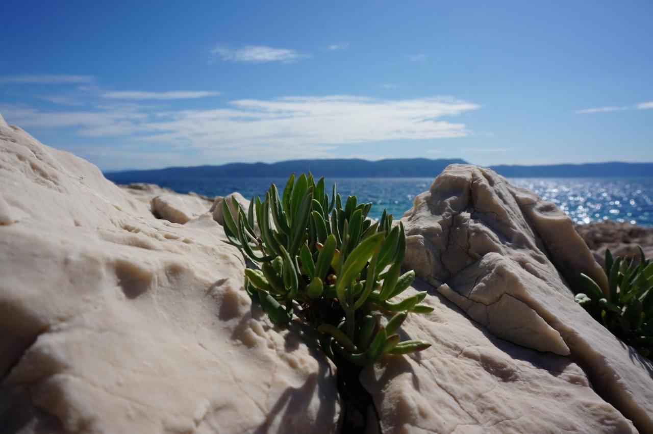 Apartment Rosanna - Intermezzo In Center Of Rabac Luaran gambar