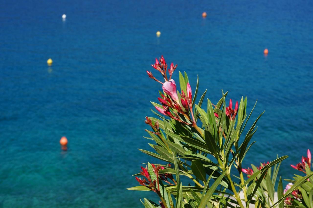 Apartment Rosanna - Intermezzo In Center Of Rabac Luaran gambar