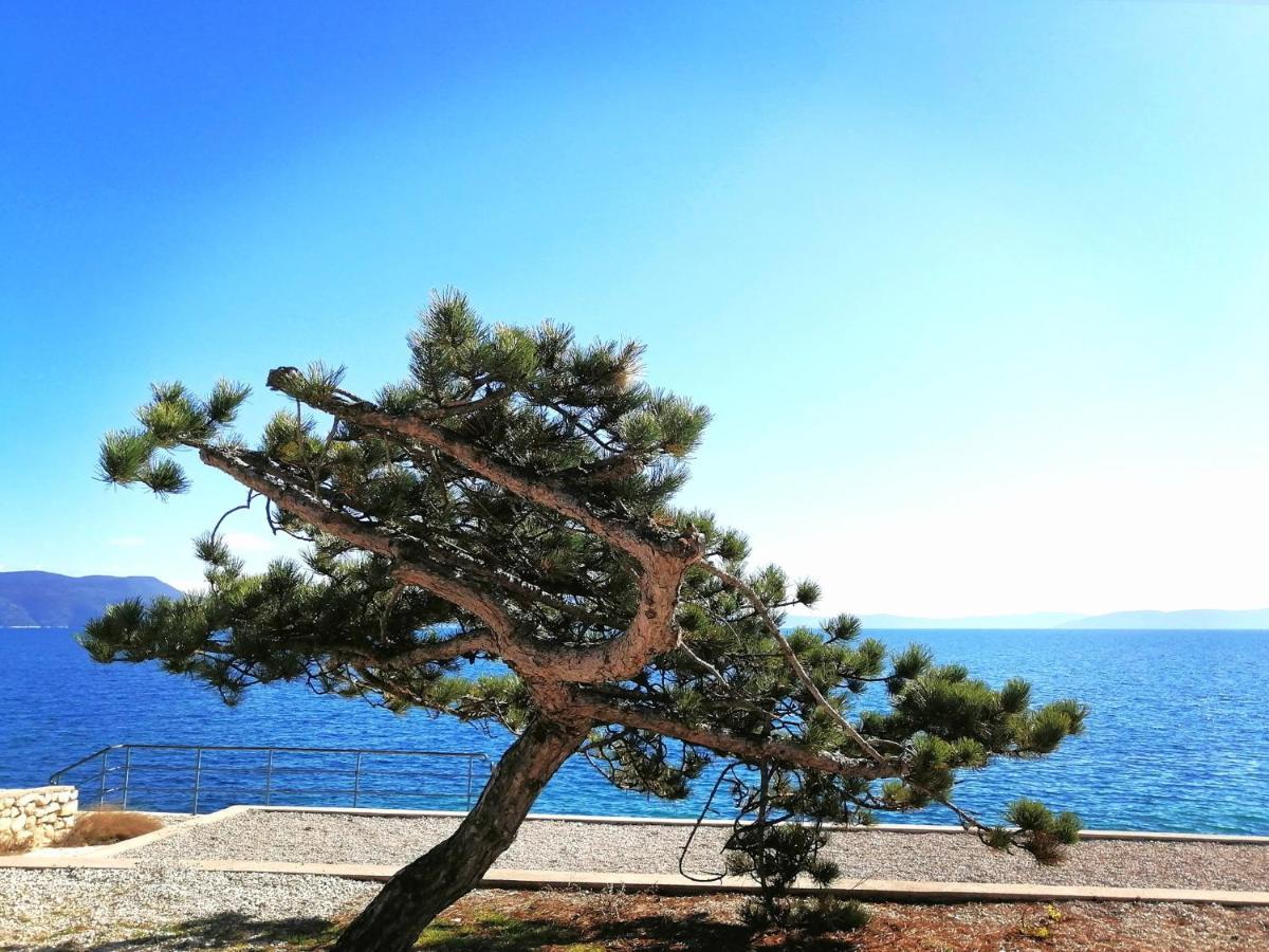 Apartment Rosanna - Intermezzo In Center Of Rabac Luaran gambar